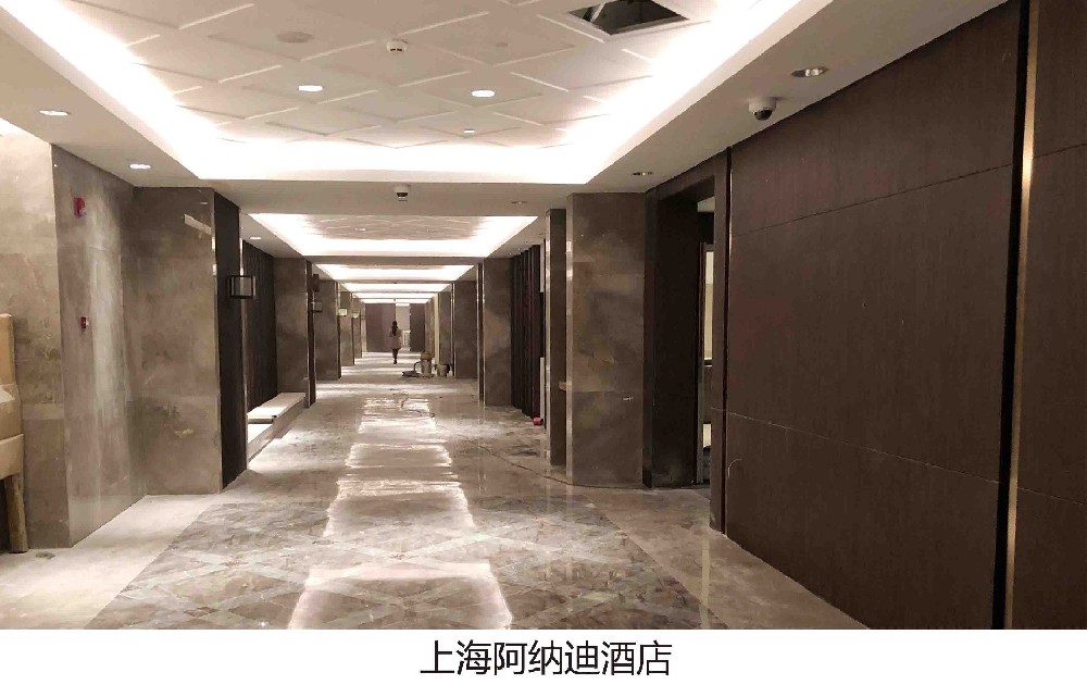 上海阿納迪酒店